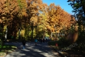 Львів - Шевченківський Гай