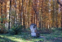 Львів - Шевченківський Гай