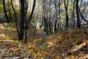 Львів - Шевченківський Гай