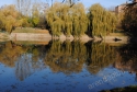 вулиця Гординських 